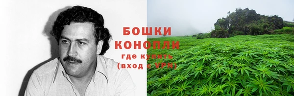 mdpv Новозыбков