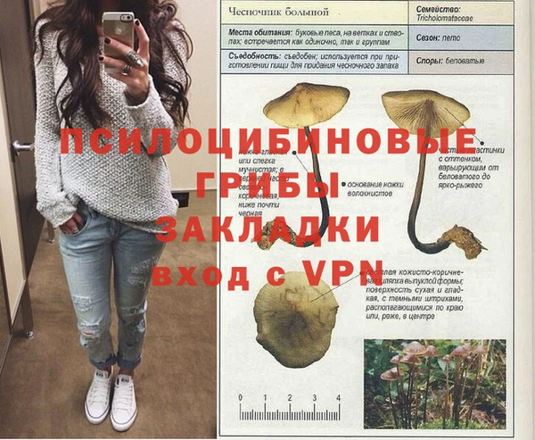 герыч Новокубанск