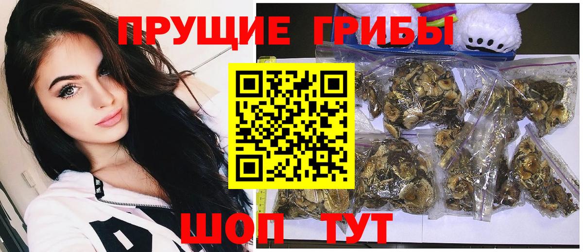 Псилоцибиновые грибы MAGIC MUSHROOMS  Вход с VPN  Калач-на-Дону  Галлюциногенные грибы Psilocybe 