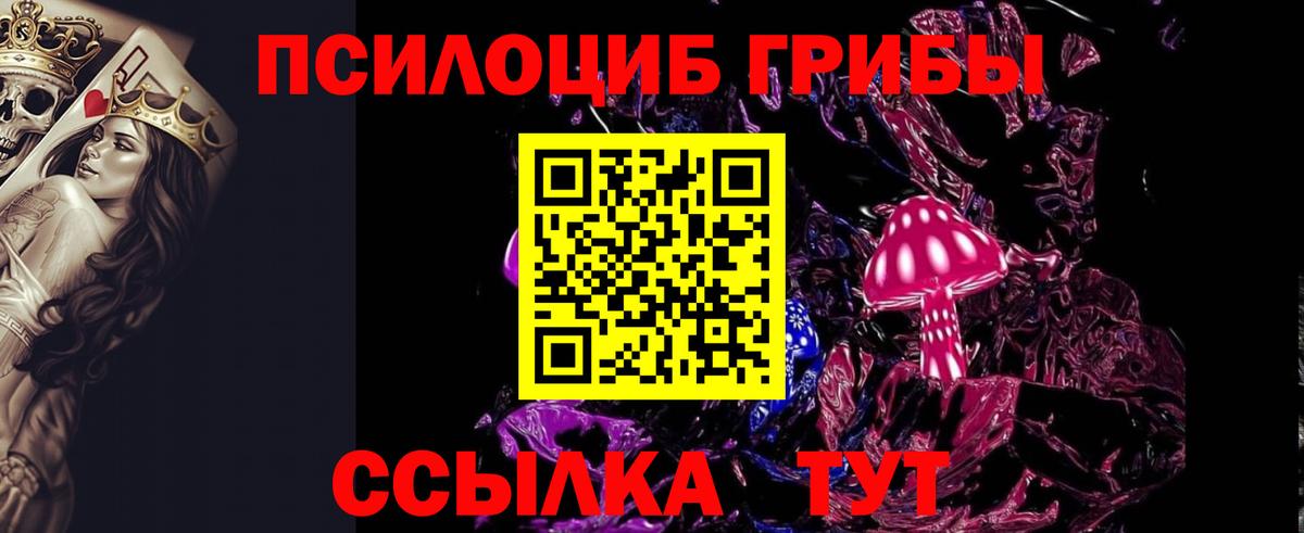 Галлюциногенные грибы Cubensis Калач-на-Дону