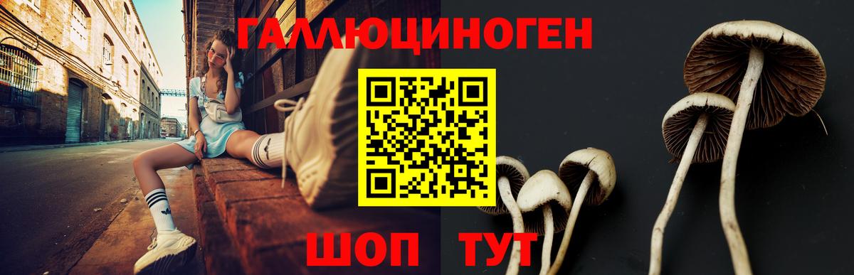 Галлюциногенные грибы GOLDEN TEACHER  Калач-на-Дону 